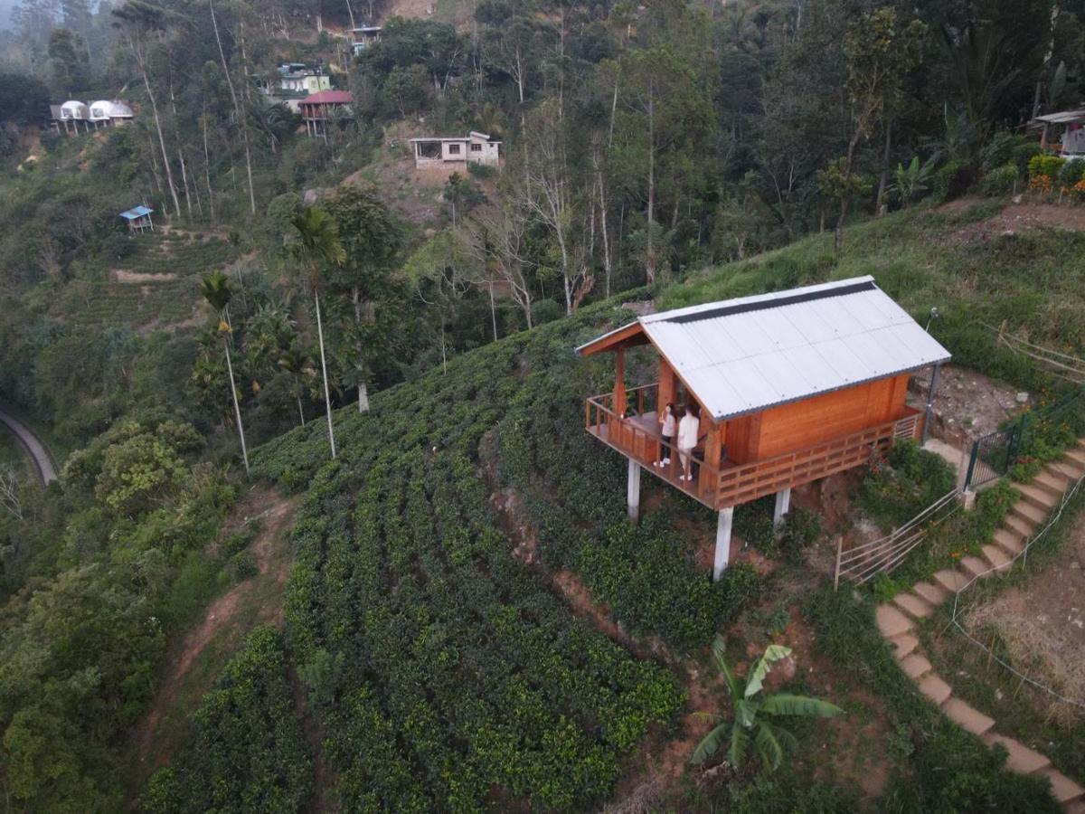 Green Nature Paradise Ella Ngoại thất bức ảnh